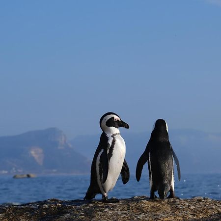 Penguin Haven . Luxury 2 Bedroom, Boulders Beach. 케이프타운 외부 사진