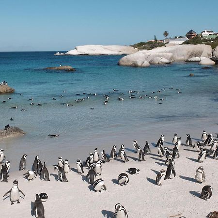 Penguin Haven . Luxury 2 Bedroom, Boulders Beach. 케이프타운 외부 사진
